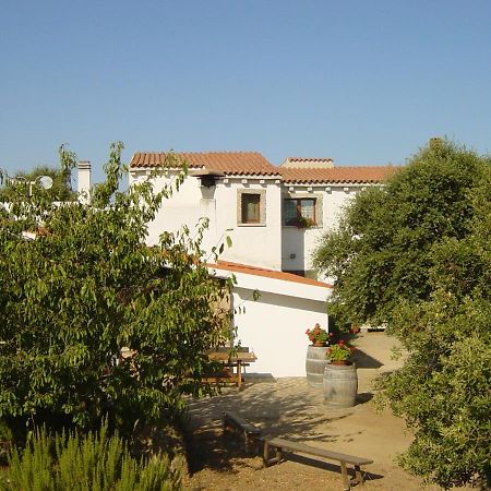 Agriturismo Vermentino 몬티 외부 사진
