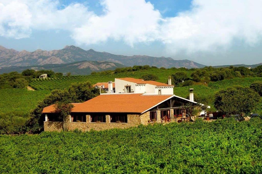 Agriturismo Vermentino 몬티 외부 사진