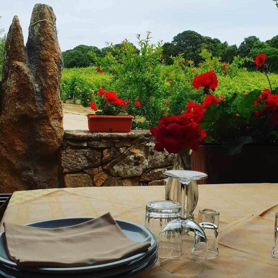 Agriturismo Vermentino 몬티 외부 사진