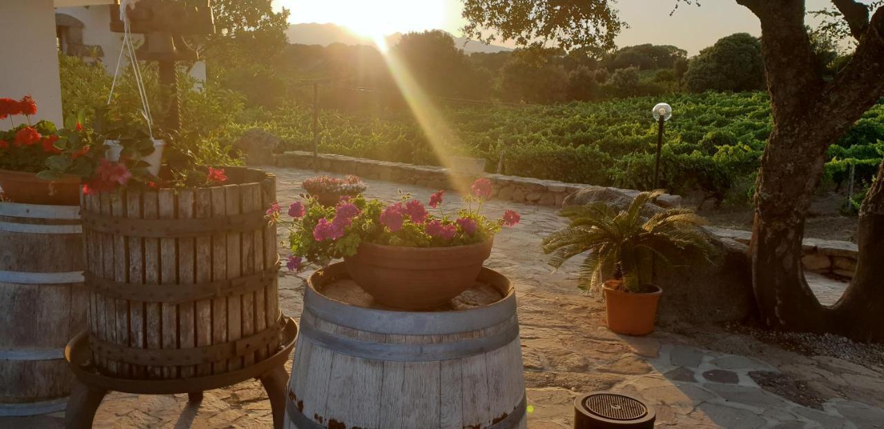 Agriturismo Vermentino 몬티 외부 사진