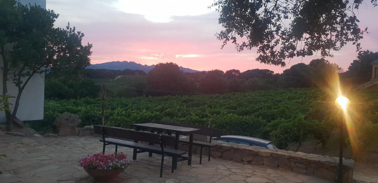 Agriturismo Vermentino 몬티 외부 사진